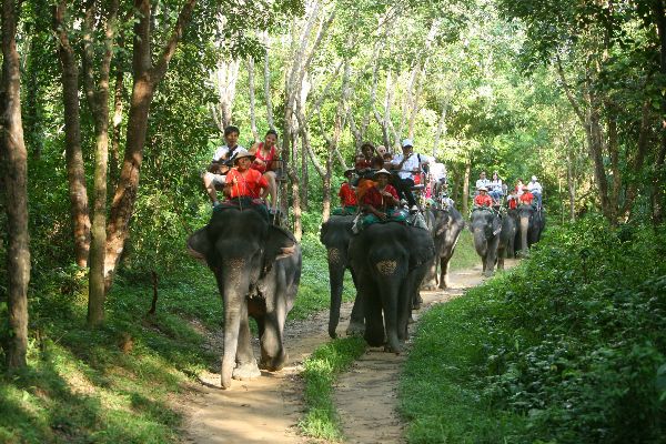 Elephant Trek Siam Safari
